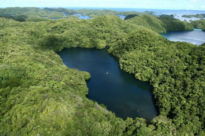Озеро Медуз. Республика Палау