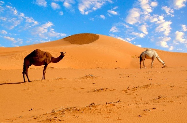 Название пустыни Сахара упоминается еще в I веке нашей эры